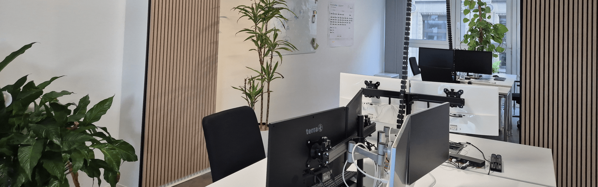 Header Karriere zeig das SYNAXUS Büro Header Karriere zeig das SYNAXUS Büro